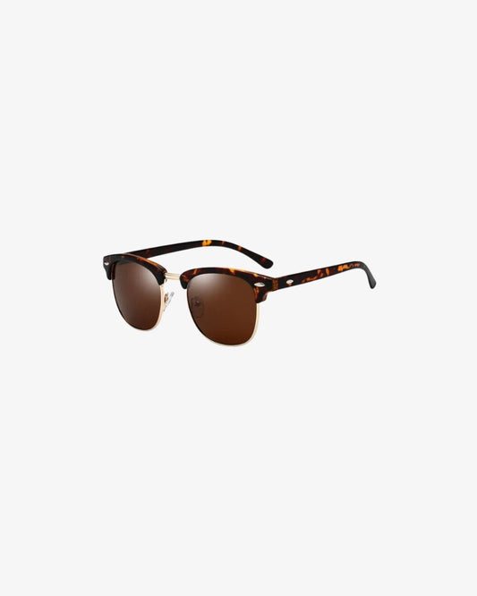 The Robert in Brown Tortoise